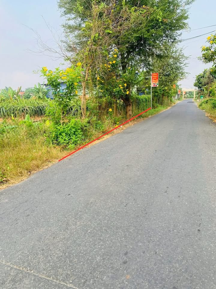 Đất nền mặt tiền đường Trần Văn Giàu, 308m² giá 1.1 tỷ - Đầu tư sinh lời!