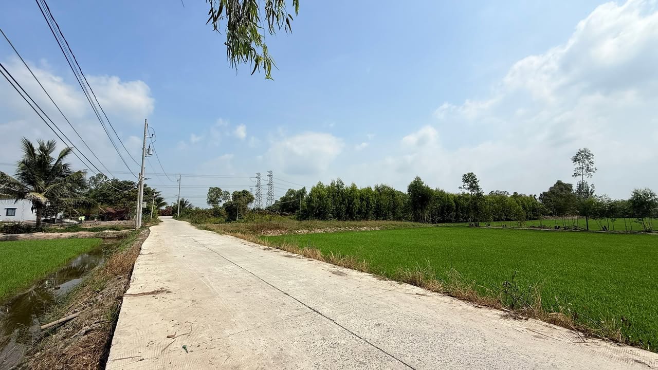 Đất nền Hòa Khánh Nam 170m² giá 650 triệu - Đầu tư ngay hôm nay!