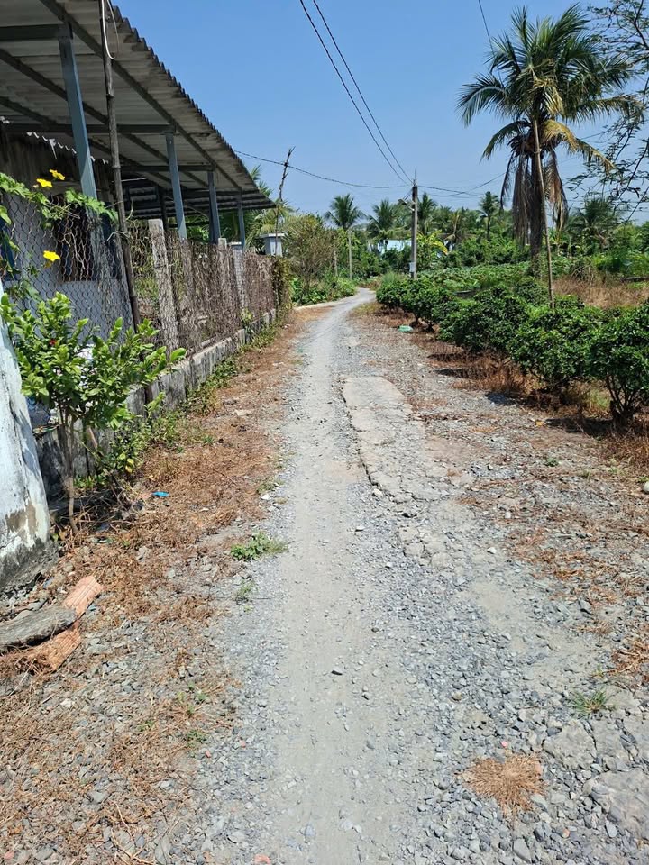 Đất nền Nhựt Chánh Bến Lức 1245m² giá 799 triệu - Mặt tiền rộng, giao thông thuận lợi!