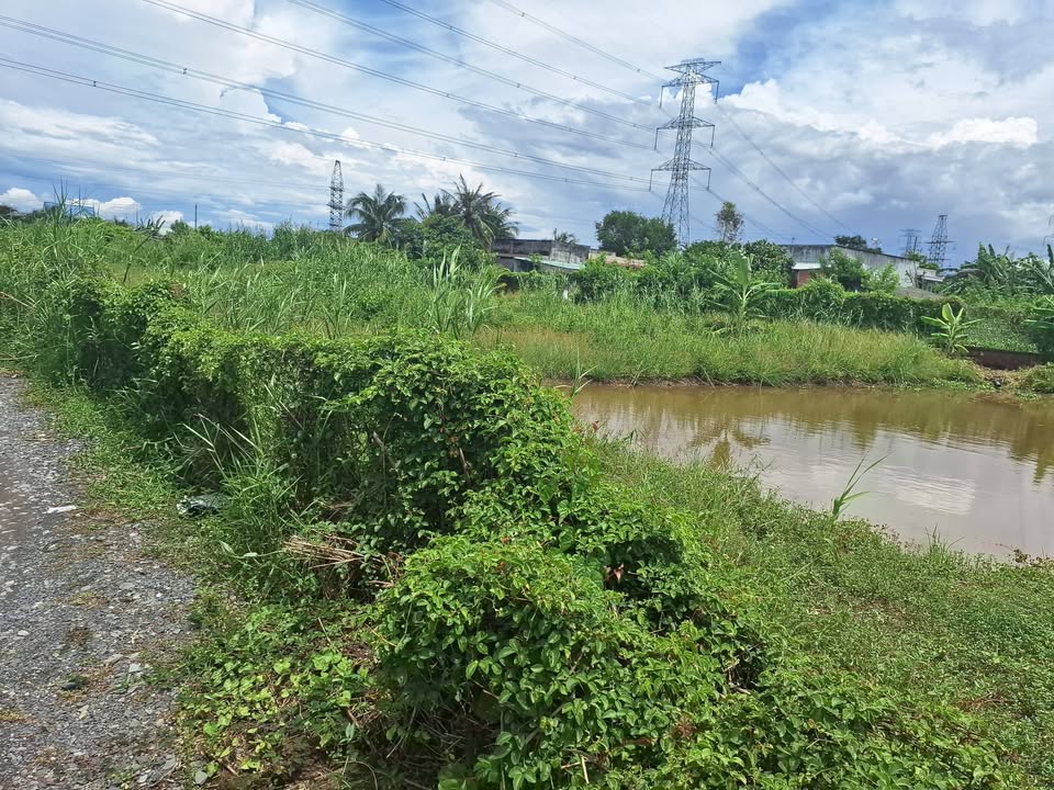 Đất nền 1000m² xã Hòa Phú, huyện Châu Thành, giá 600 triệu - Đường ô tô vào tận nơi!