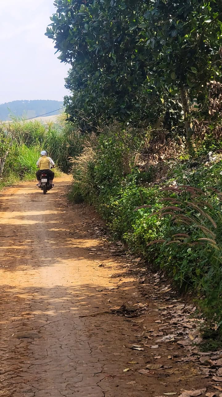 Farm đất vườn tại Gia Hiệp, Di Linh 7600m² giá chỉ 2.736 tỷ - Sổ đỏ chính chủ!