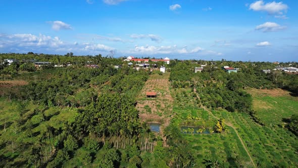 Đất Farm Thôn 5, Xã Ea Drông, 3300m² giá 1.39 tỷ - Đầu tư sinh lời lý tưởng!