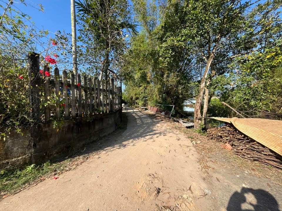 Đất nền mặt tiền Trần Quang Diệu, Thừa Thiên Huế 100m² giá chỉ 1 tỷ - Cơ hội đầu tư bùng nổ!