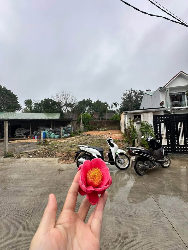 FrontHouse 112 Minh Mạng TP Huế 144m² giá 1.6 tỷ - Đất nở hậu, ô tô vào tận nơi!