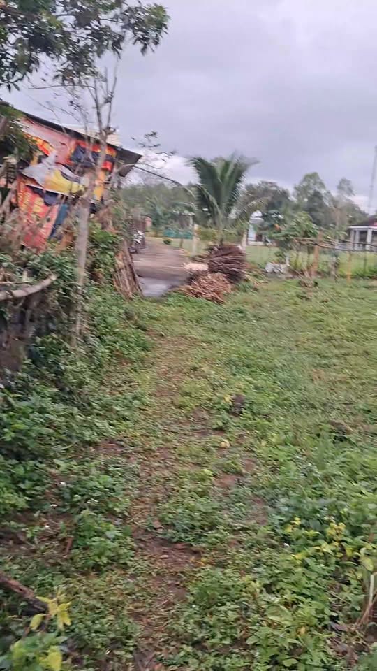 Đất nền 4 sào 80m² xã Bình Tân Phú giá chỉ 390 triệu - Cơ hội đầu tư tốt!