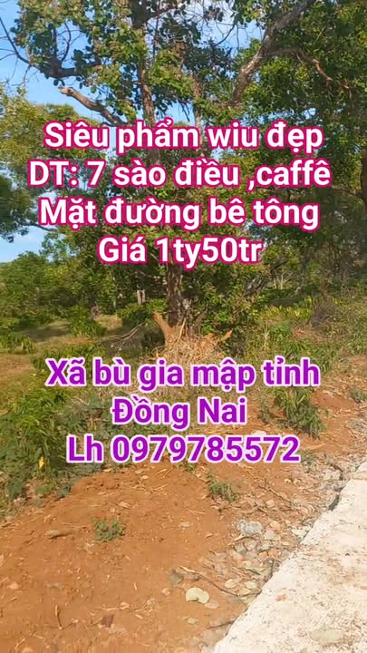 Đất farm 2520m² tại Bù Gia Mập, Bình Phước - Sổ hồng chính chủ, Giá 1.55 tỷ!