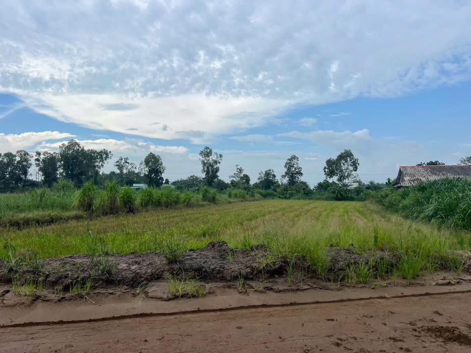 Đất nền 2456m² xã Phước Trung, Gò Công Đông - Giá chỉ 2.947 tỷ VND