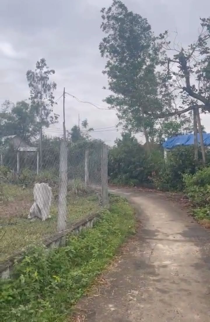 Đất nền Cảnh An 1, Phước Thành, 345m² giá 330 triệu - Đầu tư sinh lời ngay!