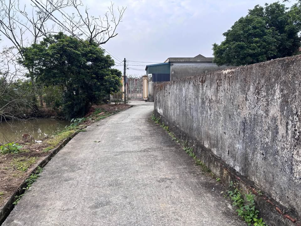 Đất nền xã Hậu Lộc, Thanh Hóa - Diện tích từ 147m² đến 186m² - Giá chỉ 403 triệu/lô!