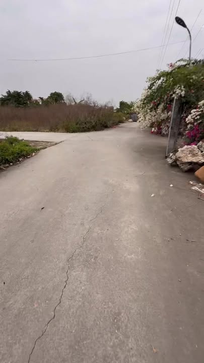 Đất nền góc 2 mặt tiền đường 403, Quận Đồ Sơn, 67m², giá chỉ 1 tỷ