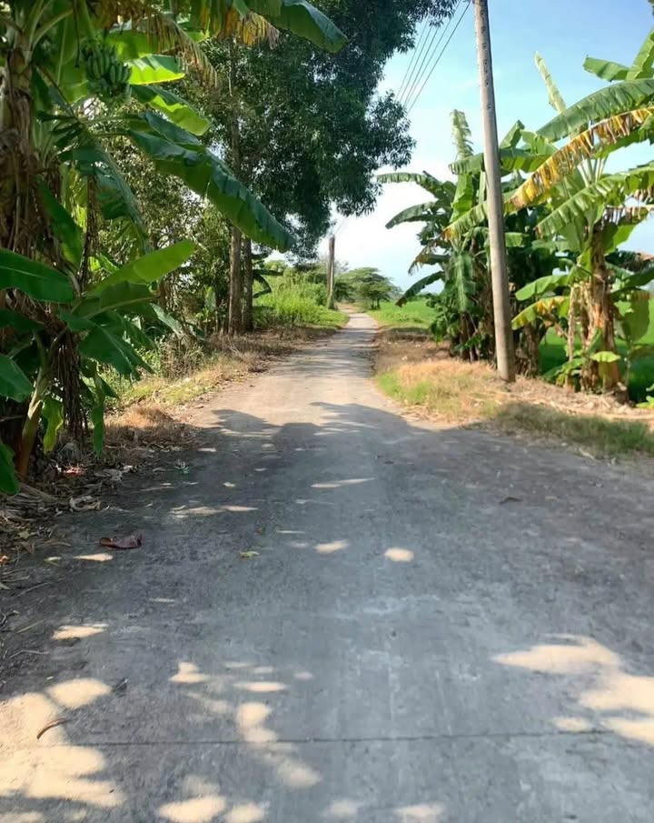 Đất nền Cờ Đỏ 5000m² giá 1.2 tỷ - Cơ hội đầu tư hấp dẫn!