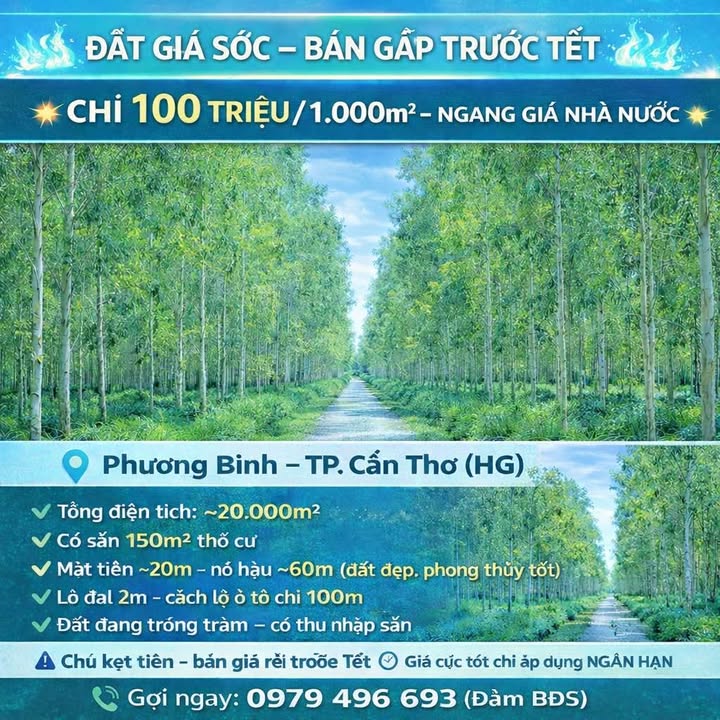 Đất nền Phương Bình, Hậu Giang 20.000m² giá 2 tỷ - Cơ hội đầu tư hiếm có!