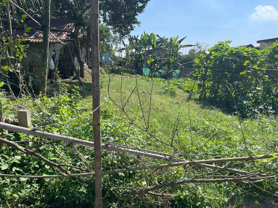 Đất nền Xuyên Tây, xã Hòa Phước, Đà Nẵng 140m² giá 500 triệu - Đầu tư thông minh!