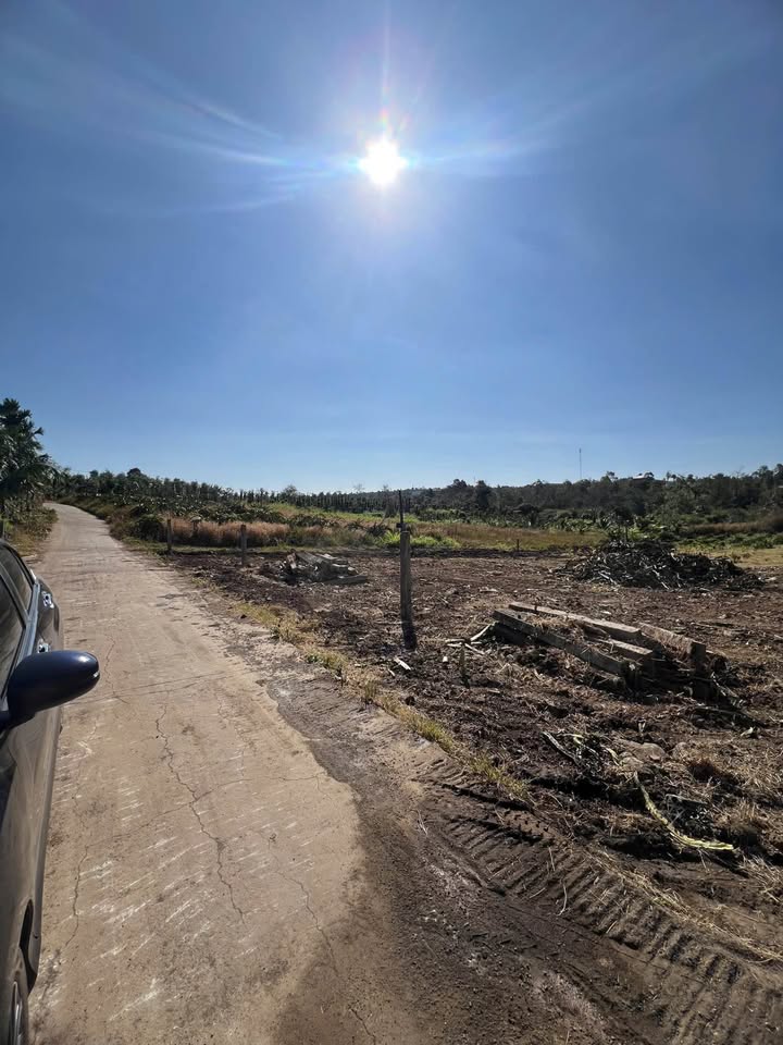 Đất thổ cư 1000m² Thôn 4 Cư Êbur giá 1.18 tỷ - Sổ đỏ chính chủ