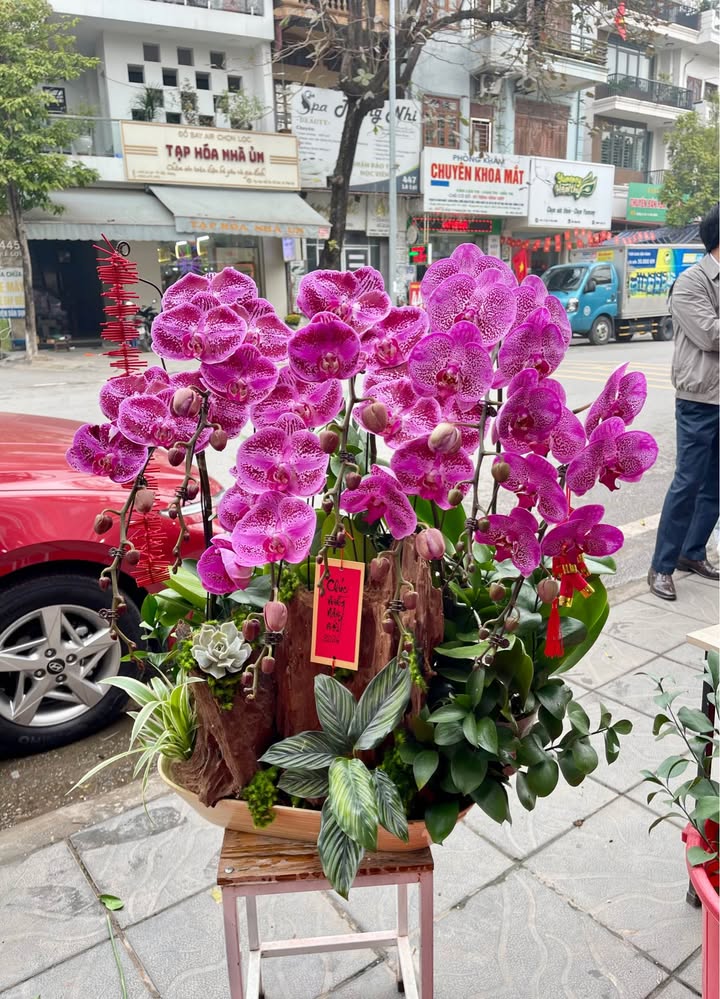 Đất mặt tiền Huỳnh Thúc Kháng, Bắc Giang 96m² giá 1 tỷ - Cơ hội đầu tư hấp dẫn!