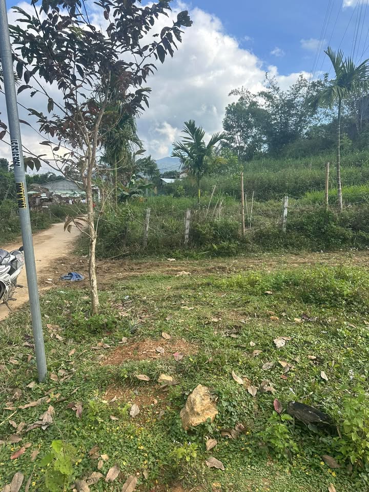 Đất nền mặt tiền xã Ba Đông, Đà Nẵng - Giá từ 500 triệu, chính chủ bán gấp!