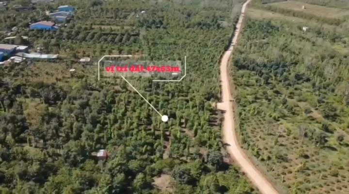 Đất nông nghiệp Cư Bao 2444m² giá thỏa thuận - Đầu tư sinh lời ngay!