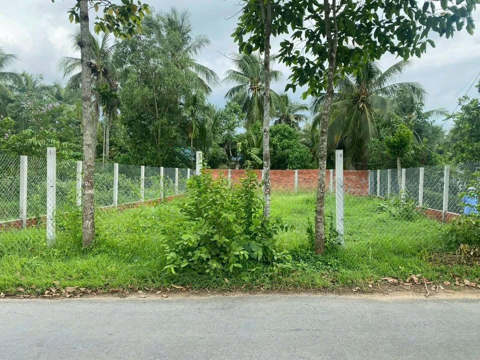 Đất nền biệt thự góc 2 mặt tiền Phú Tự 194m² giá 1.85 tỷ - Đầu tư sinh lời ngay!