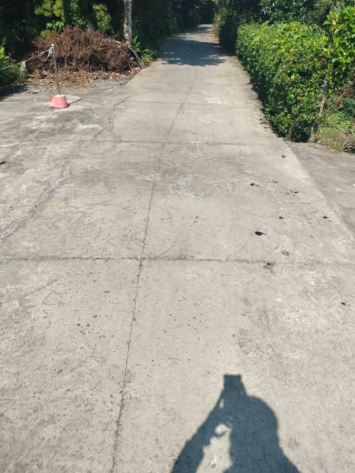 Đất nông nghiệp 3000m² xã Tân Quy Tây, Đồng Tháp - Chỉ 2.7 tỷ, chính chủ bán gấp!