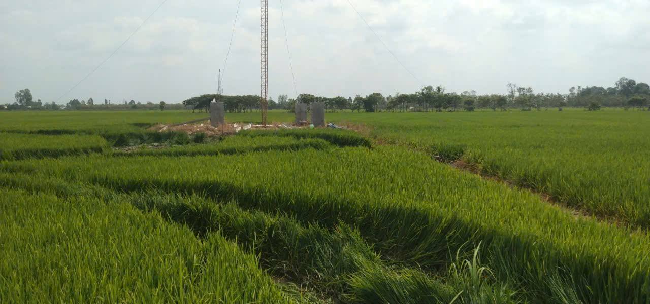Đất trồng lúa cặp kênh thủy lợi tại Lấp Vò 22.094m² - Giá hợp lý, chính chủ!