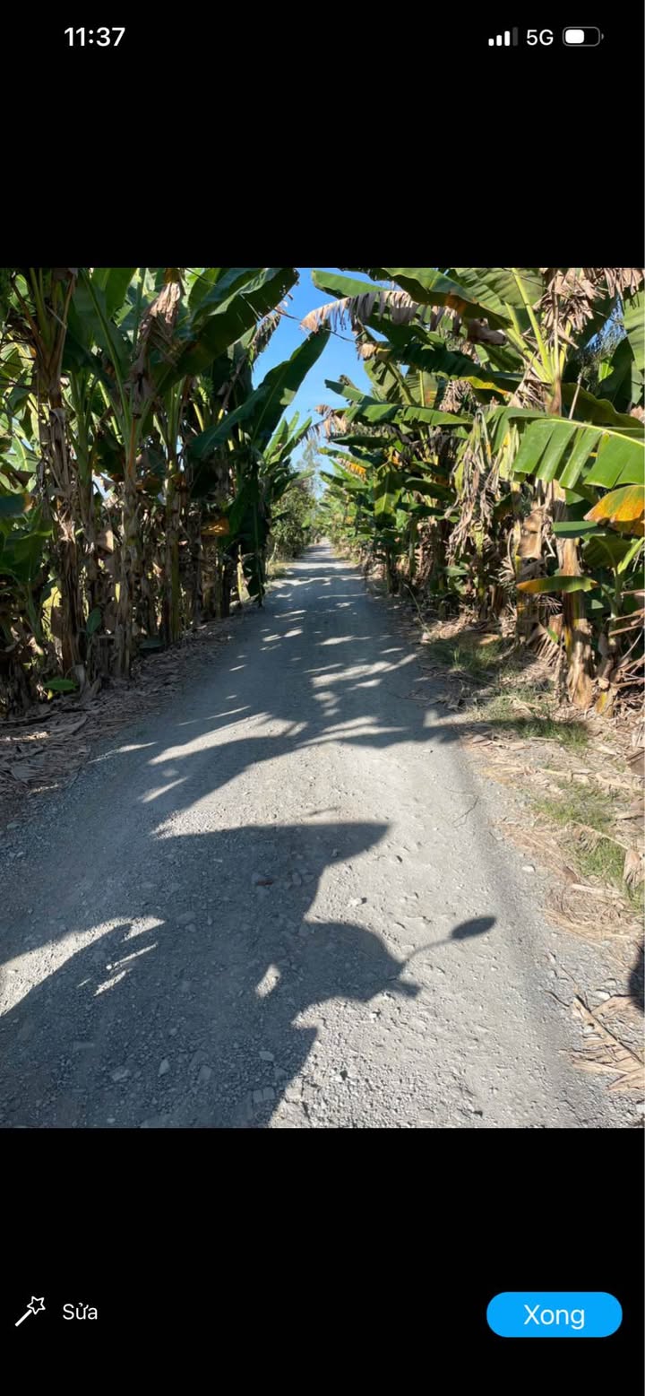 Đất nền phường Mỹ Phú, TP Cao Lãnh 700m² giá 340 triệu - Sổ hồng chính chủ!