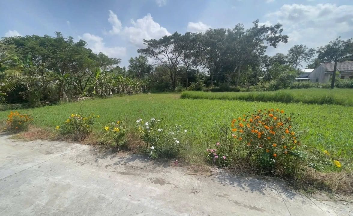 Đất nền mặt tiền Đường Dal Oto, Sóc Trăng 300m² giá 200 triệu - Cơ hội đầu tư hấp dẫn!