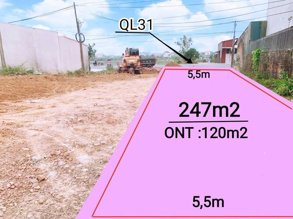 Đất nền mặt tiền Quốc lộ 31, Lục Nam 250m² giá 2 tỷ - Cơ hội đầu tư hiếm có!