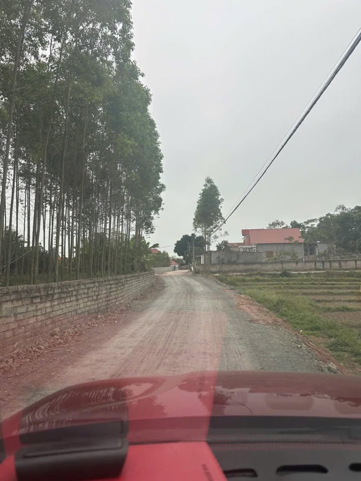 Đất nền tại thôn Cầu Đá, Xã Quang Thịnh 100m² giá 600 triệu - Cơ hội đầu tư hấp dẫn!