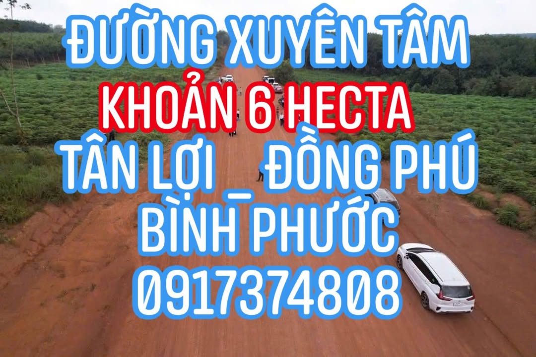 Đất nông nghiệp 6ha Đường Xuyên Tâm, Tân Lợi, Đồng Phú - Cơ hội đầu tư tuyệt vời!