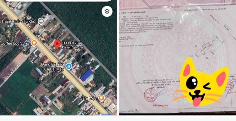 Nhà cấp 4 mặt tiền DT784, Cầu Khởi, 192m² chỉ 1.92 tỷ - Cơ hội kinh doanh hấp dẫn!