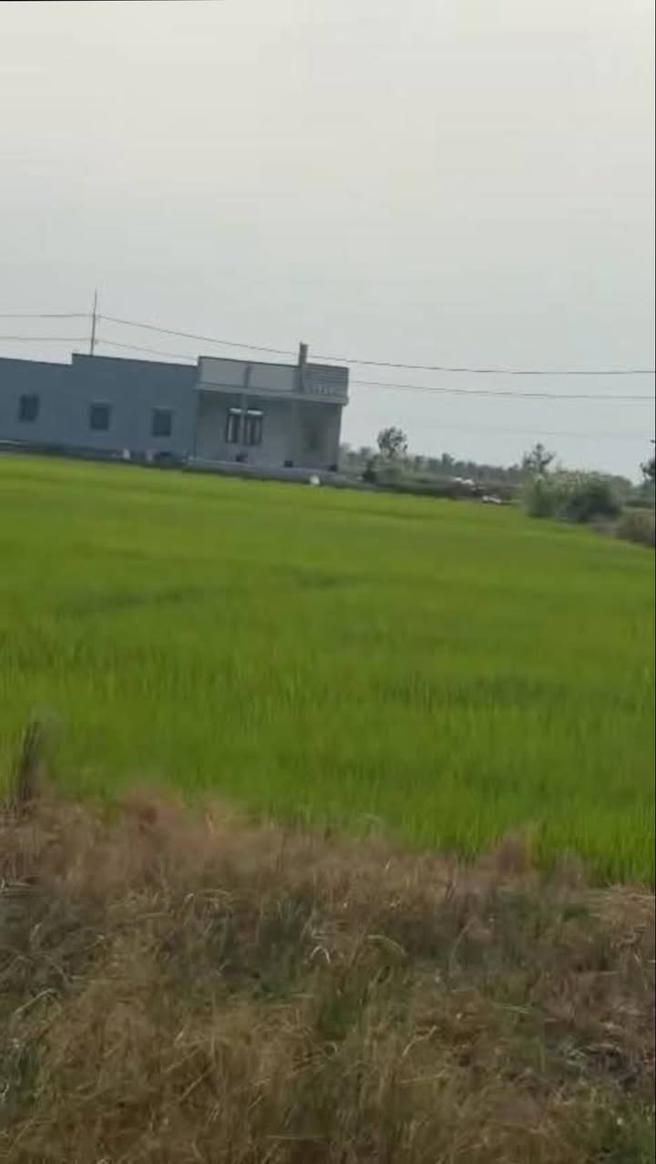 Đất thổ cư Ấp Thuận Trị 275m² giá 390 triệu - Sổ hồng chính chủ sẵn sàng giao dịch!