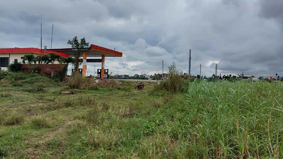 Đất nền Huyện Sơn Tịnh, Quảng Ngãi 1100m² giá 4 tỷ - Đầu tư sinh lời ngay!