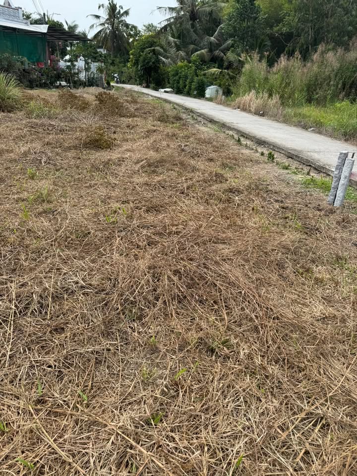 Đất nền liền kề TP Cần Thơ 353m² giá 360 triệu - Sổ hồng chính chủ!