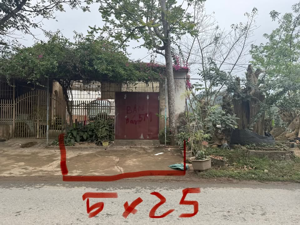 Đất thổ cư Xã Cẩm Ngọc 125m² giá thỏa thuận - Sẵn sàng xây dựng ngay!