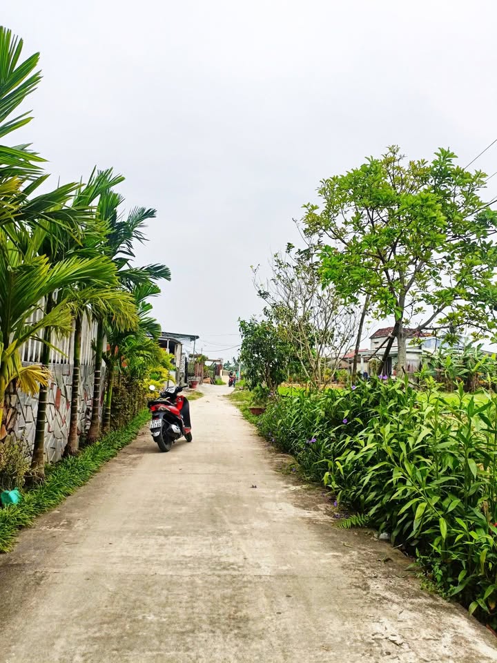 Đất vườn Duy Thành 375m² giá chỉ 1 tỷ - Đầu tư lý tưởng!