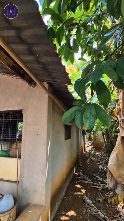 Đất nền thổ cư 1.123m² tại Tam Phú, TP.Hồ Chí Minh - Giá chỉ 3.2 tỷ!