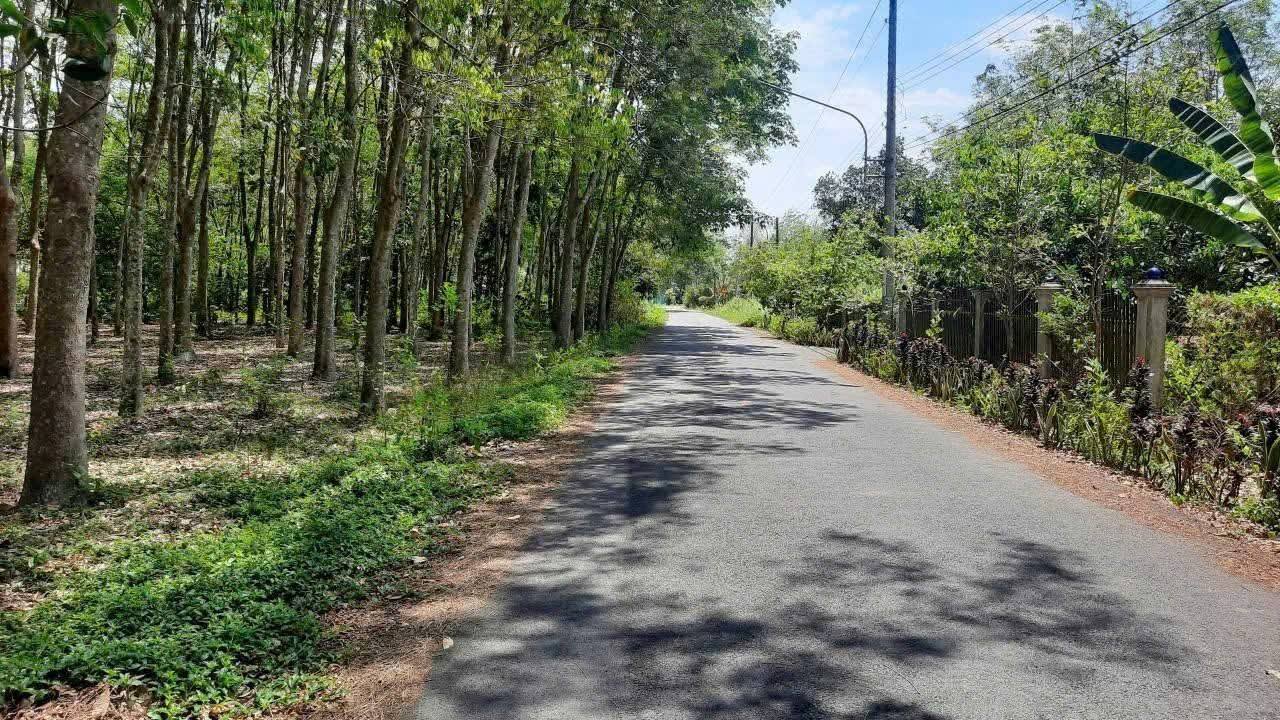 Đất Farm 2ha Lai Uyên, Bàu Bàng, Bình Dương - Giá Thỏa Thuận!