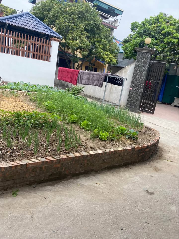 Đất nền Phường Gia Đông, Thuận Thành, Bắc Ninh 45m² chỉ 1 tỷ - Cơ hội đầu tư hấp dẫn!