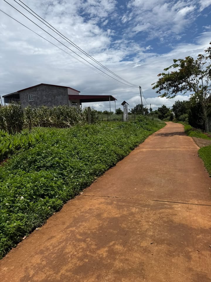 Đất thổ cư 4320m² tại thị trấn Đinh Văn, Lâm Hà - Giá chỉ 1.3 tỷ, bớt lộc ngay!