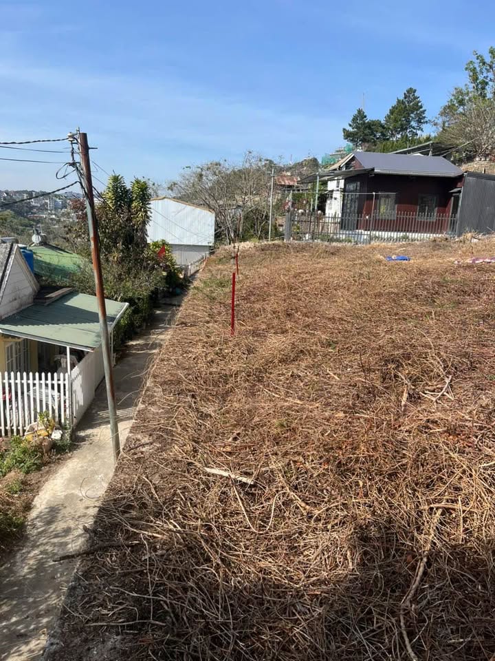 Đất Lê Văn Tám, P.10 Đà Lạt 89m² giá 1.4 tỷ - View đẹp mộng mơ!