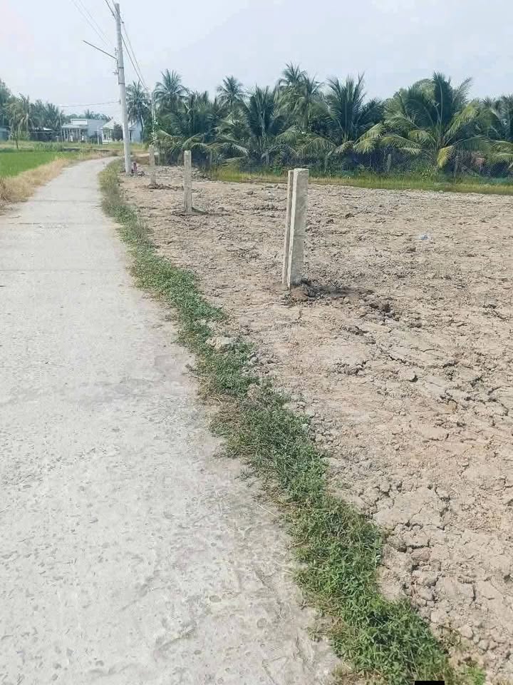 Đất nền Phường Long Chánh, Gò Công, Tiền Giang 199m² giá 320 triệu - Đầu tư sinh lời ngay!