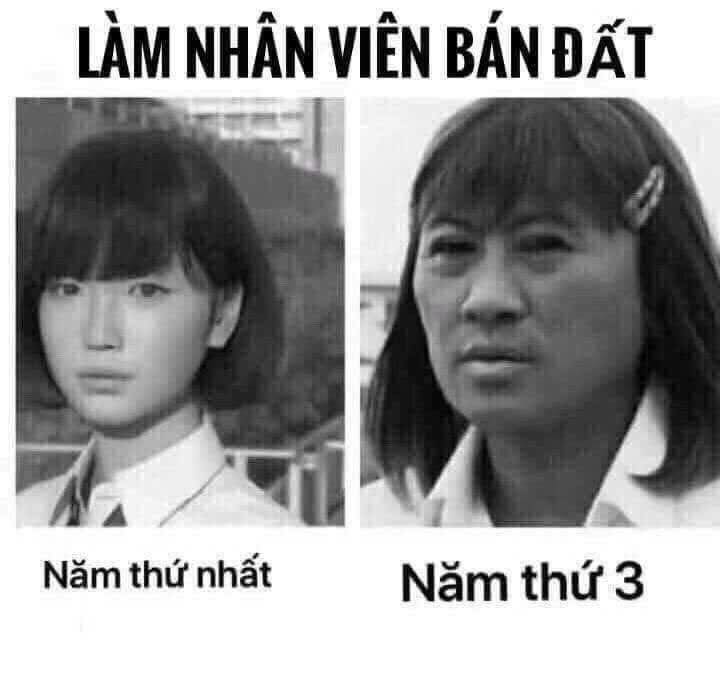 Đất nền Gò Vấp 487m² giá 45 tỷ - Vị trí siêu đẹp, chính chủ bán!