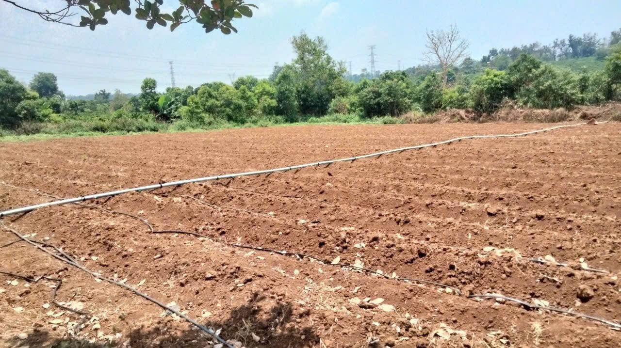 Đất nền 6 xào tại làng Dút 2, xã Ia Dêr, giá 1.2 tỷ - Đầu tư sinh lời ngay!