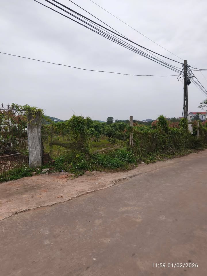 Đất nền thôn Hòa Minh, xã Hợp Đức, huyện Tân Yên - 260m² giá 1 tỷ - Đường ô tô tránh nhau!