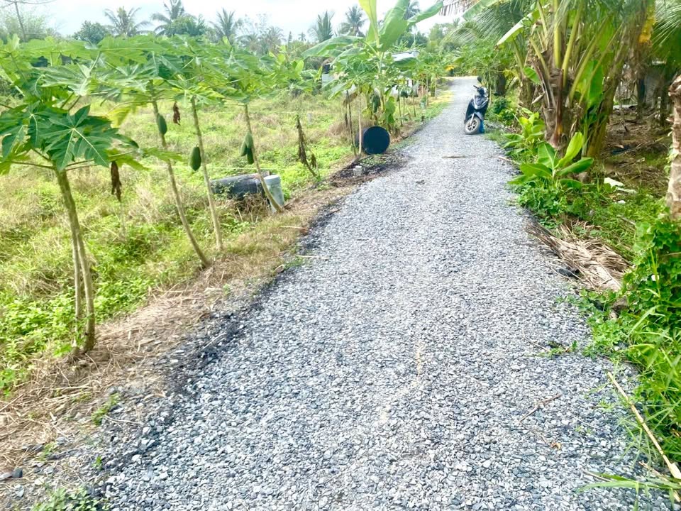 Đất nền 300m² tại xã Ngãi Tứ, huyện Tam Bình chỉ 200 triệu - Cơ hội đầu tư hấp dẫn!