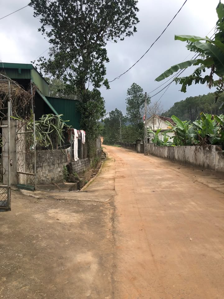 Đất nền tại Quốc lộ 15, Xã Nam Hưng, 758m² giá chỉ 2.8 tỷ - Cơ hội đầu tư tuyệt vời!