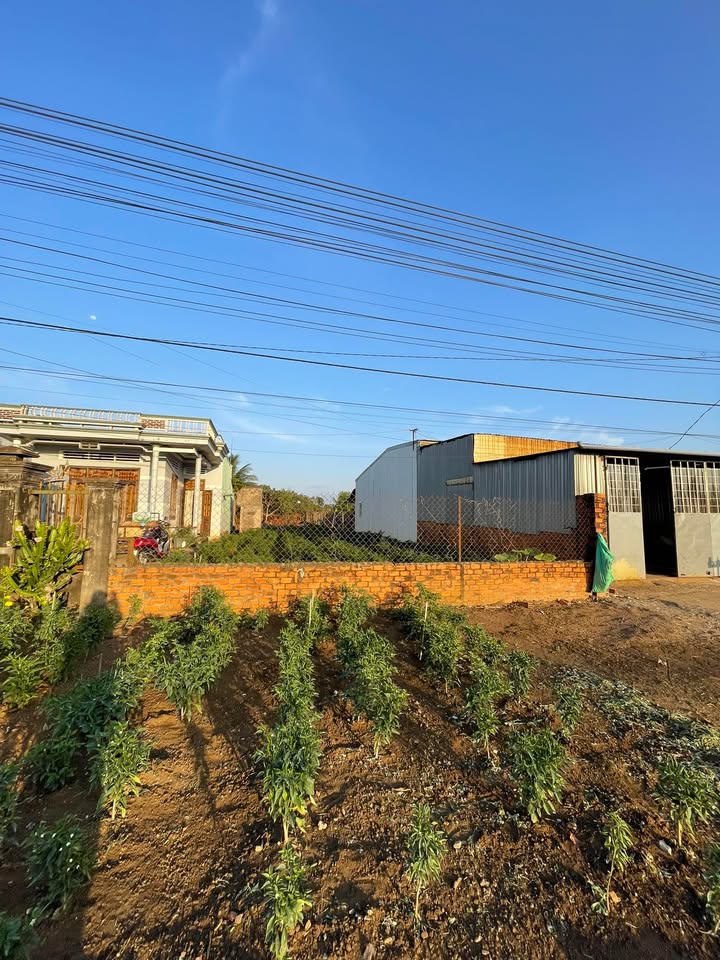 Mặt tiền quốc lộ 26, xã Ea Phê, 5220m² - Đầu tư kinh doanh sinh lời ngay!