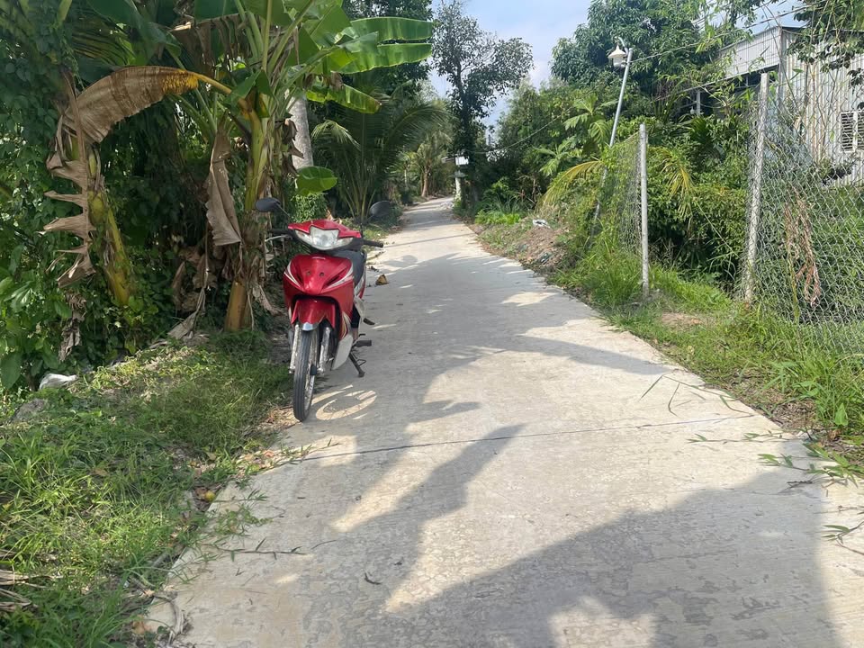 Farm 6 công Tân Hoà, Châu Thành A, Hậu Giang giá 2.7 tỷ - Đất thổ cư sắp hoàn thiện!