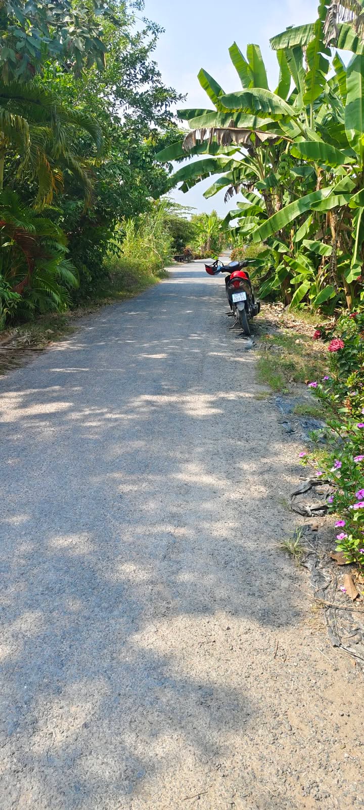 Đất nền 181.5m² tại xã Vĩnh Châu, An Giang - Giá chỉ 700 triệu, cơ hội đầu tư không nên bỏ lỡ!