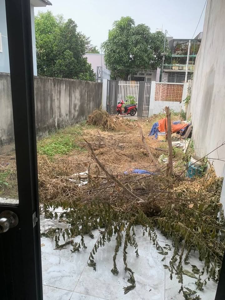 Đất tặng nhà C4 Phường An Phú, Thủ Đức - Diện tích 100m² - Đường xe hơi thuận tiện!